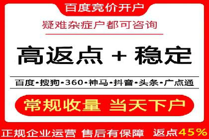百度推广中SEO优化的成功案例分析